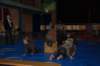 dsc_0004_small.jpg